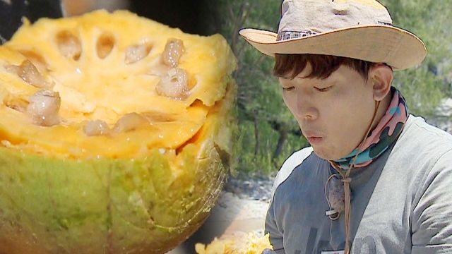 김병만의 정글의 법칙 : 역대급 과일 아노아의 맛 ‘섬유질 덩어리’ : SBS
