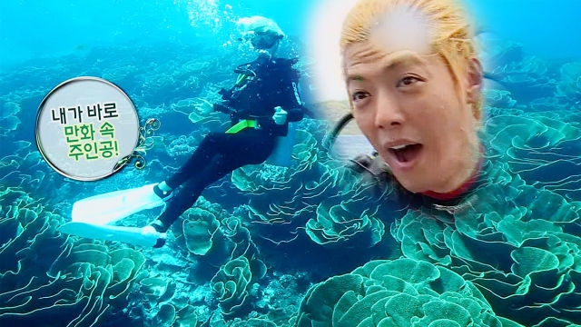 [단독] 강남, 바닷속 꽃밭에 감격 “만화 속 주인공 같다”