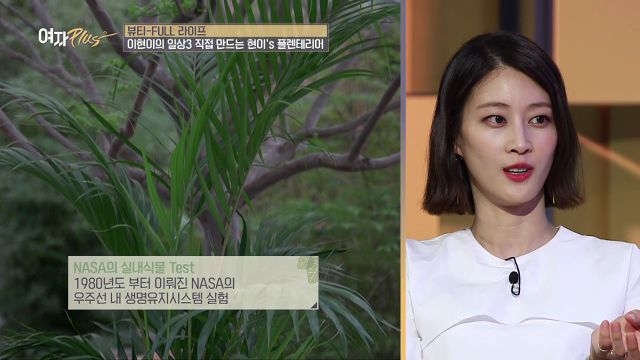 톱 모델 이현이가 전하는 인테리의 끝 플렌테리어