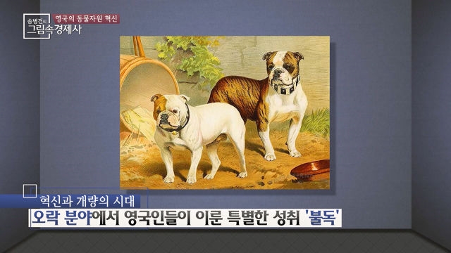귀여운 불독~ 알고 보면 폭풍눈물각 ㅠㅠ