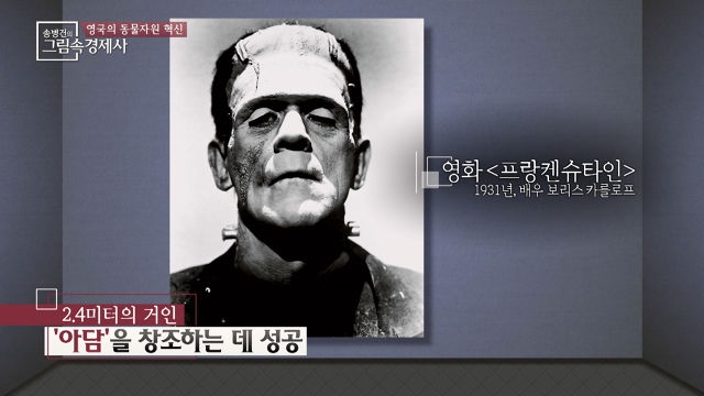 흉측한 외모의 프랑켄슈타인, 하지만 소설과 영화가 달랐다는데!