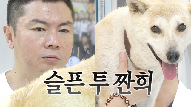 슬픈 투 짠희의 가슴 아픈 병원 방문기 ‘상상임신’