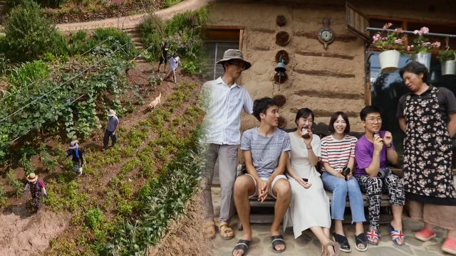 일상을 리셋 하라! 도시를 떠나 ‘숲속으로’
