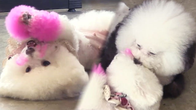 부부 솔루션으로 완전히 달라진 해피♥