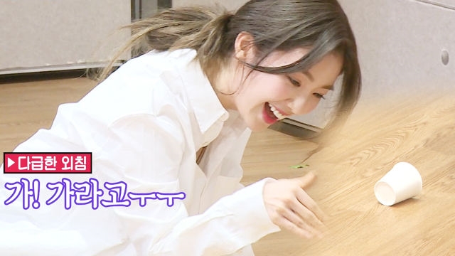 “야 가” 승부 여신 아이린, 다급한 손짓