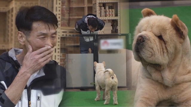 ‘삼월이’의 가족 찾아 삼만리! 우리 아빠가 맞..맞습니까..?!