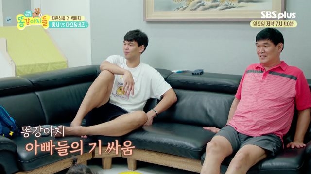 하승진vs하동기