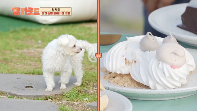 울산바위 뷰 맛집 베이커리