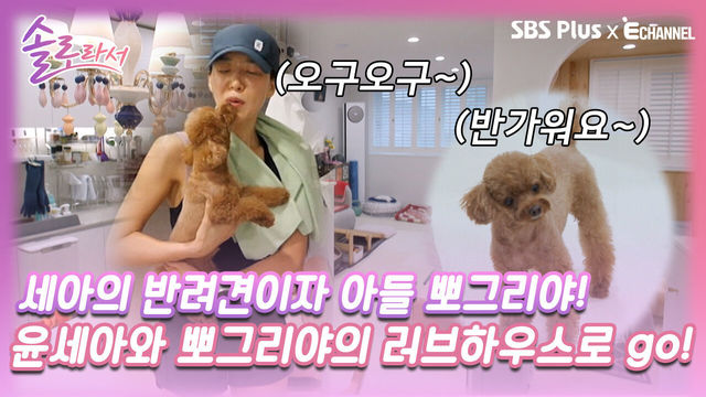 [솔로라서 2회] 윤세아와 사랑스러운 반려견이자 아들 뽀그리야의 러브하우스로 초대합니다~ㅣSBS Plus X E채널ㅣ화요일 밤 8시 40분