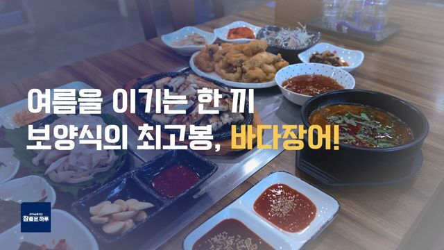 바다에서 찾은 보약, 바다장어