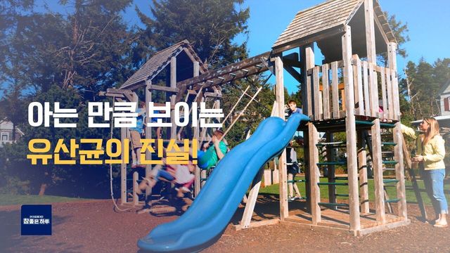 생존의 비밀! 유산균의 진실