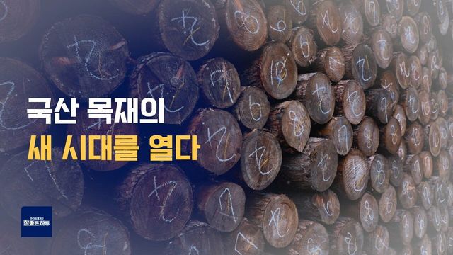국산 목재 새 시대를 열다!