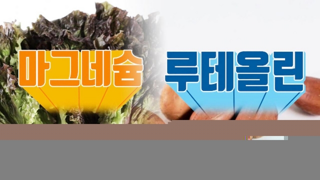 혈당 잡는 ‘상추·땅콩’ 당뇨 예방 도움! (닥터필생기)