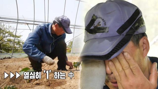 인생 2막, 봄을 맞고 있는 자연인을 만나다!