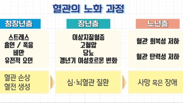 막히면 위험한 ‘혈관’의 노화 과정! (똑똑똑!고민상담소)