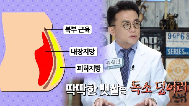 착각은 금물! 독소 덩어리인 ‘딱딱한 뱃살’ (닥터필생기)
