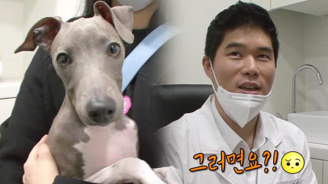 ‘복근 견 도리’ 미스터리한 복근의 정체는?