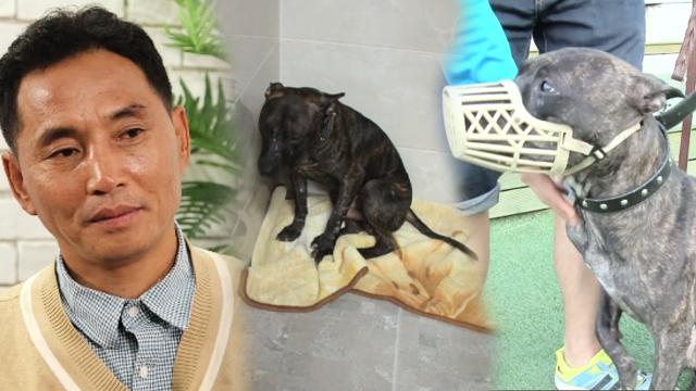 이찬종 소장님이 뽑은 절대 잊지 못할 동물! ‘투견 까불이’  이미지