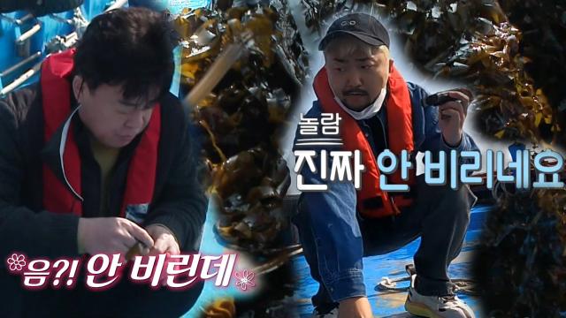 백종원×유병재, 거센 파도 뚫고 먹은 미역 맛에 깜놀!