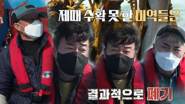 백종원, 수확 못한 미역 폐기에 속상한 마음