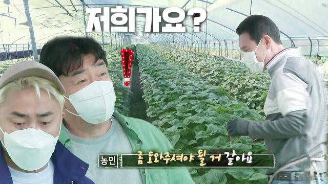 맛남의 광장 : ‘선 체험 후 토크’ 백종원×유병재, 갑분 체험 삶의 현장에 당황 : SBS