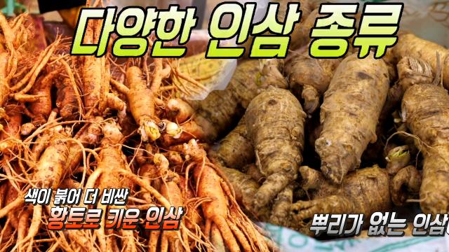 금산 인삼 시장, 손님들을 만족시킨 다양한 인삼 종류!