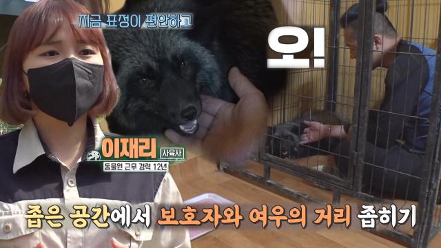 야생으로 사는 은여우 ‘레아’와 친해지기 프로젝트☆