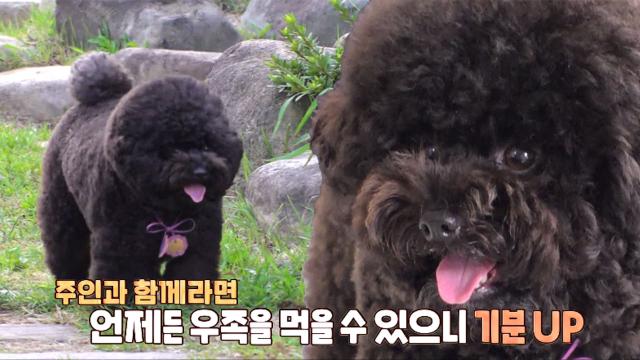 찬종쌤이 떴다! 지나친 우족사랑 제이든 해결책은?