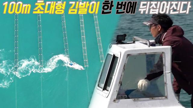 생활의 달인 : 초대형 김발을 한 번에 척척 뒤집는다! 김발 운전 달인의 놀라운 능력★ : SBS