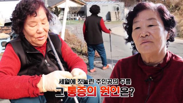 세월에 짓눌린 김쌍례씨의 무릎 통증 (내몸주치의)