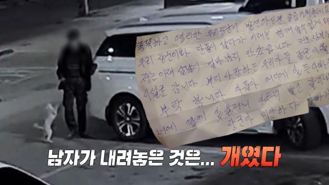 마트 주차장 ‘장군이’ 유기 사건, 쪽지 속 사연의 진실은? 