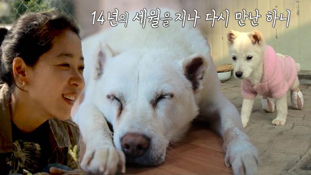 우리 집은 실버타운, 15년 만에 다시 만난 ‘하니’