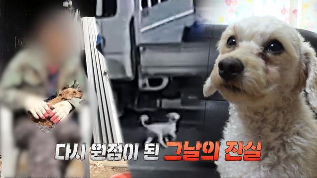 다시 원점이 된 그날의 진실, 장군이의 진짜 주인은?