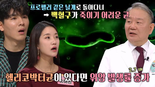 위암 일으키는 1급 발암 물질 ‘헬리코박터균’ (기적의선물) 