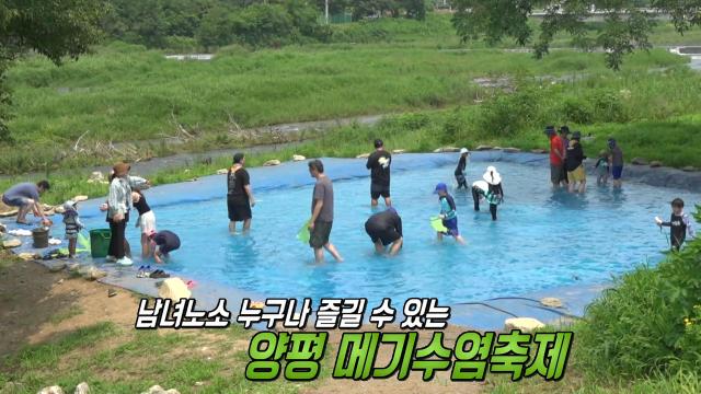 생방송 투데이 : 기운 쑥쑥! 더위를 시원하게 날려줄 ‘양평 메기수염축제’ : SBS