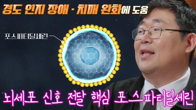 세 개의 시선 : 뇌 세포막 필수 재료 ‘포스파티딜세린’★ : SBS