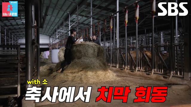 SBS 선공개 클립 이미지