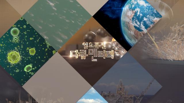 일요 특선 다큐멘터리 이미지